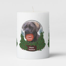 Cane Corso Natal