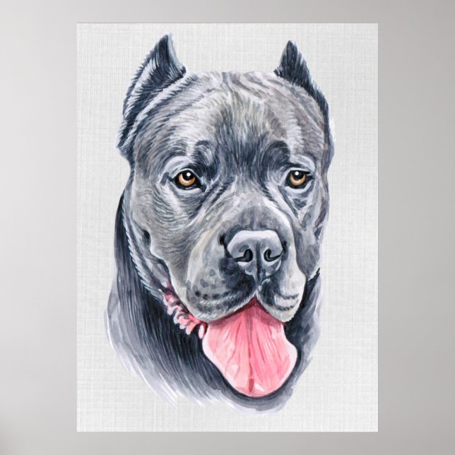 Cane Corso Poster (Frente)