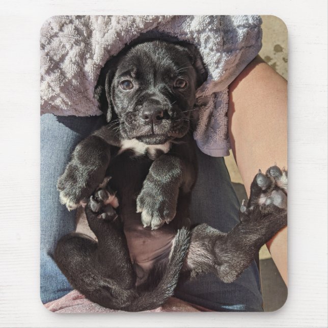 Cane Corso Puppy Mouse Pad (Frente)