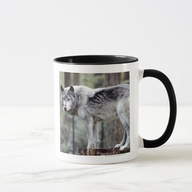 CANECA 24114488 (Direita)