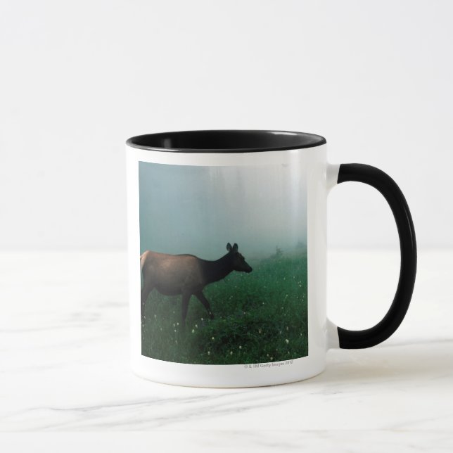 CANECA 24121885 (Direita)
