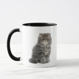 Caneca 2 meses velho) assento persa do gatinho (