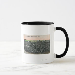 Caneca 5000 carneiros prontos para ShippingChester, TA