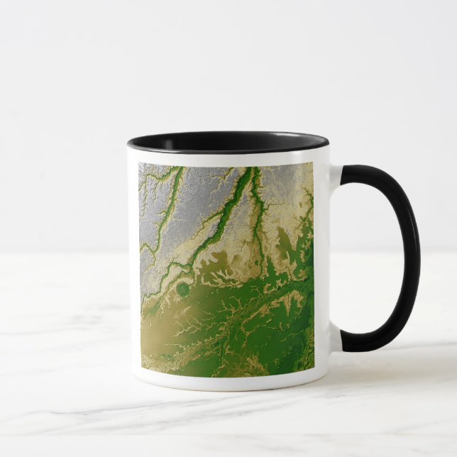 Caneca A Amazônia boliviana (Direita)