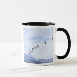 Caneca A Antártica, península antárctica. Chinstrap