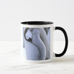 Caneca A Antártica, península antárctica, mar de Wedde