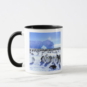 Caneca A Antártica, península antárctica, mar de Wedde