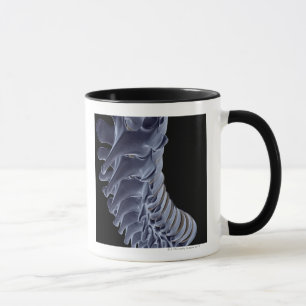 Caneca A coluna vertebral