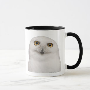 Caneca A coruja nevado masculina (scandiacus do bubão) 