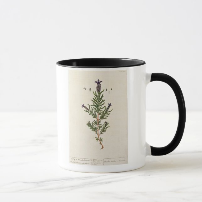 Caneca A lavanda francesa, chapeia 241 'de um Herbal (Direita)