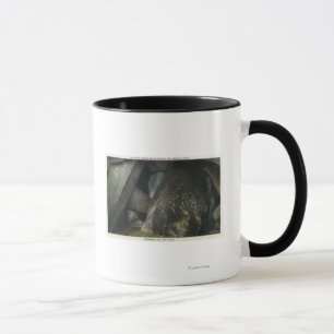 Caneca A metade escondida cai ideia do julgamento Salão