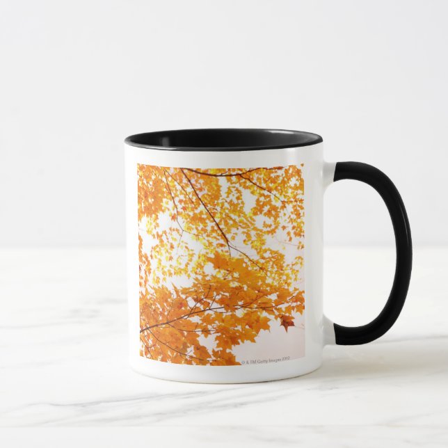 Caneca A queda deixa a reflexão (Direita)