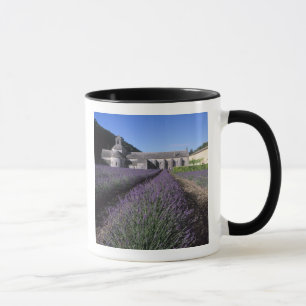 Caneca Abadia de Senanque, Gordes, Vaucluse, Provença,
