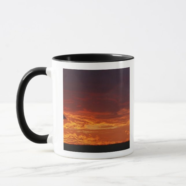 Caneca Acácia Espinho de Guarda-Chuva, Acacia tortilis, 2 (Esquerda)