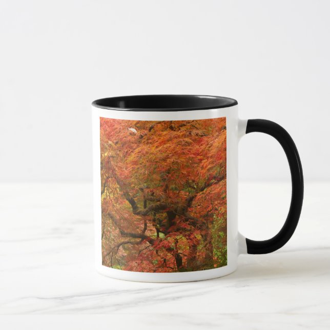 Caneca Ácer japonês na cor de outono (Direita)