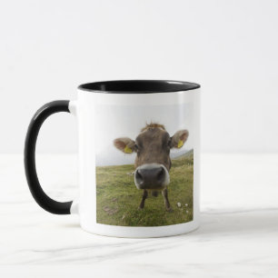 Caneca Acobarde perto de Tre CIME Di Lavaredo em