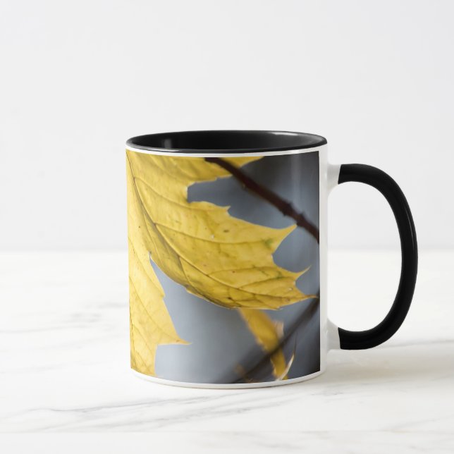Caneca Açúcar bordo, outono (Direita)