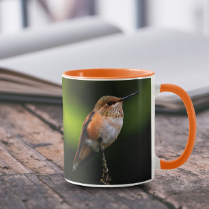 Caneca Adorável Rufous Hummingbird no Branch