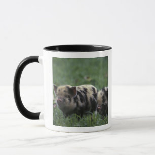 Caneca África, África do Sul, perto de Gansbaii Doméstico