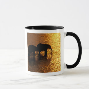 Caneca África, Botsuana, Delta do Okavango. Africano