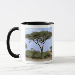 Caneca África, Botsuana, Delta do Okavango. Sul