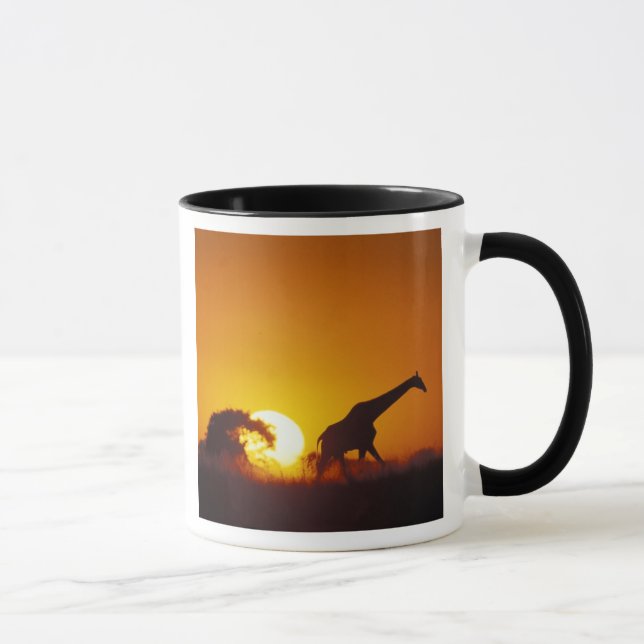 Caneca África, Botsuana, Parque Nacional Chobe, Girafa 2 (Direita)