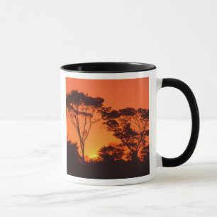Caneca África do Sul. Pôr do sol africano.