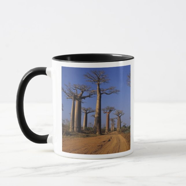 Caneca África, Madagascar, Morondava, Avenida Baobab. (Esquerda)