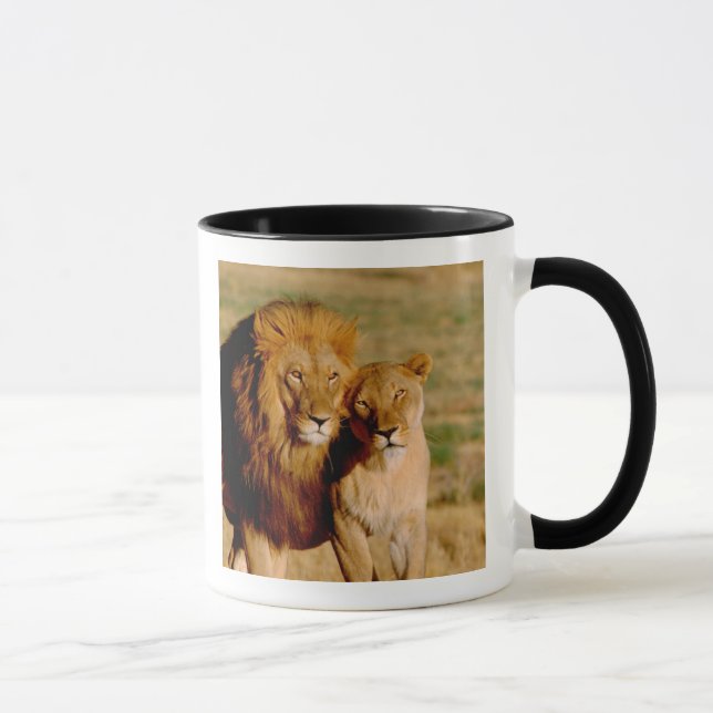 Caneca África, Namíbia, Okonjima. Leão & leoa (Direita)