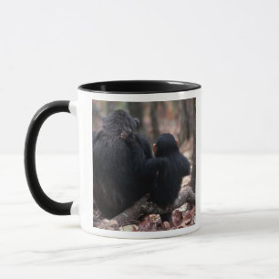 Caneca África Oriental, Tanzânia