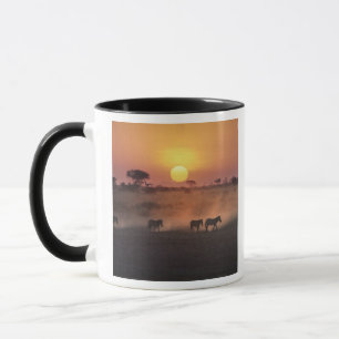 Caneca África, Quênia, Amboseli NP. Zebras caminham para