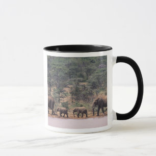 Caneca África, Quénia, Nanyuki, Mpala. africano