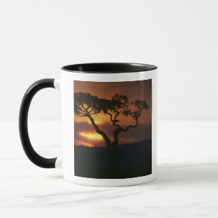 Caneca África, Quênia, Reserva de Caça Masai Mara, Cenári