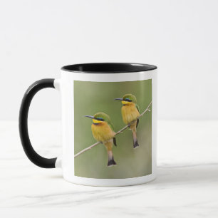 Caneca África. Tanzânia. Abelharinhos em Manyara