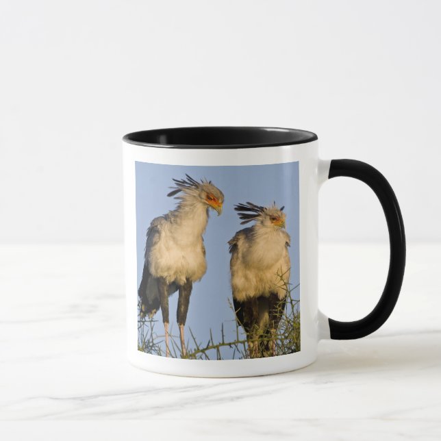 Caneca África. Tanzânia. Secretaria de Aves em Ndutu (Direita)