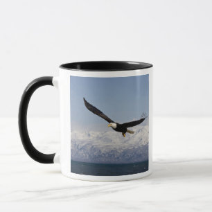 Caneca Águia Americana em Voo, Haliaeetus leucocephalus, 