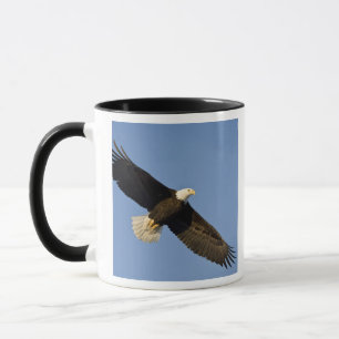 Caneca Águia Americana, Haliaeetus leucocephalus, Homer,