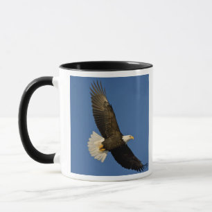 Caneca Águia americana, leucocephalus do Haliaeetus,
