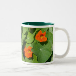 Caneca alaranjada da chagas