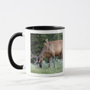 Caneca Alce macho com chifres em veludo pastando