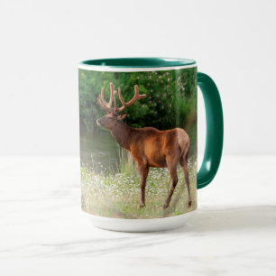 Caneca Alce macho no National Bison Range, Montana