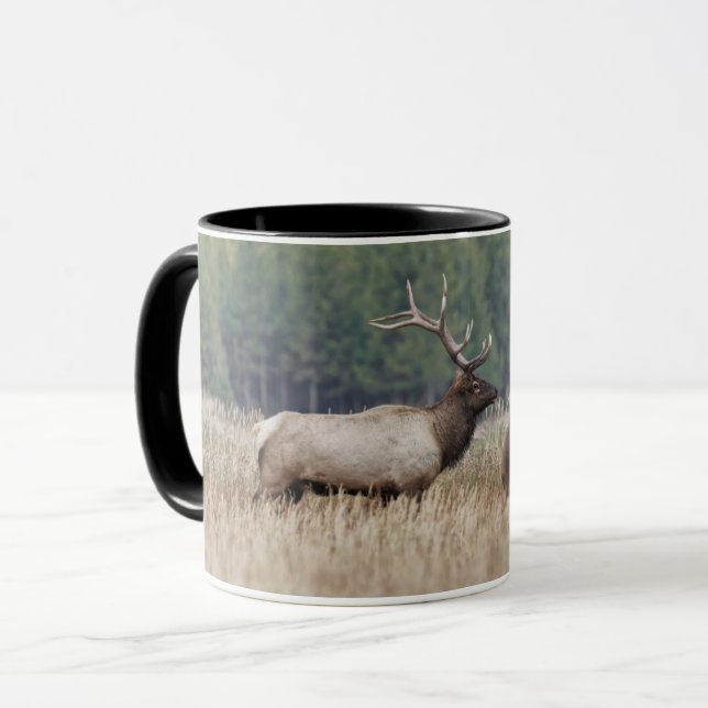 Caneca Alce Macho no Prado | Parque Nacional de Yellowsto (Frente Esquerda)