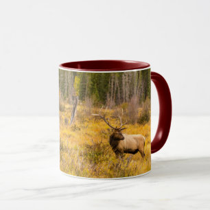 Caneca Alce macho   Parque Nacional Montanhas Rochosas Co
