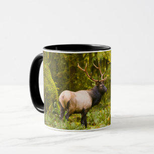 Caneca Alce Roosevelt Touro Em Pé No Prado