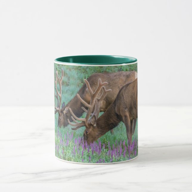 Caneca Alces machos Parque Nacional das Montanhas Rochosa (Centro)