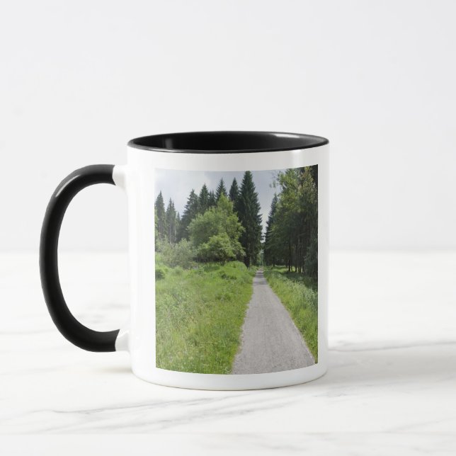 Caneca Alemanha, Thuringia, trajeto na floresta (Esquerda)