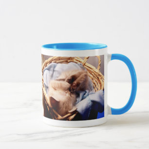caneca alérgica do humor do divertimento do gato