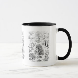 Caneca Algas