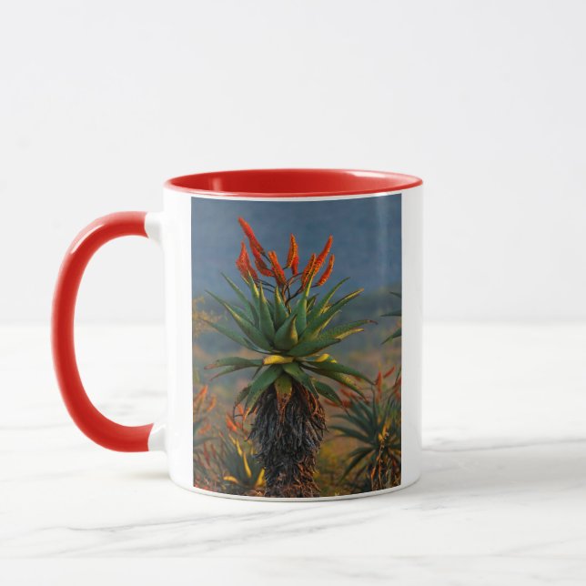 Caneca Aloe da Montanha (Aloe Marlothii Berger) 2 (Esquerda)