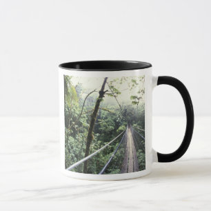 Caneca América Central, Costa Rica, Monteverde Nuvem